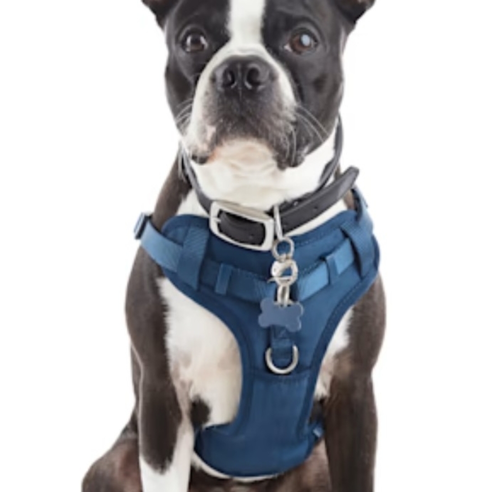 Good2Go Padded Step-In Dog Harness